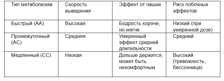 Снимок экрана 2026-07-28 185254.png