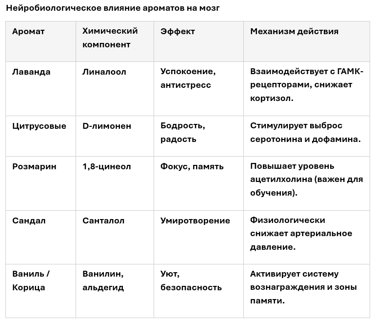 Снимок экрана 2026-06-04 162415.png