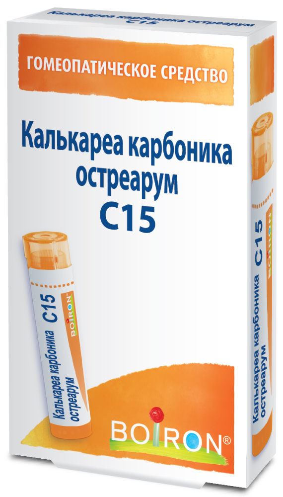 Калькареа карбоника остреарум С15