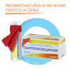 ОЦИЛЛОКОКЦИНУМ® (30 шт) ОЦИЛЛОКОКЦИНУМ® (30 шт)