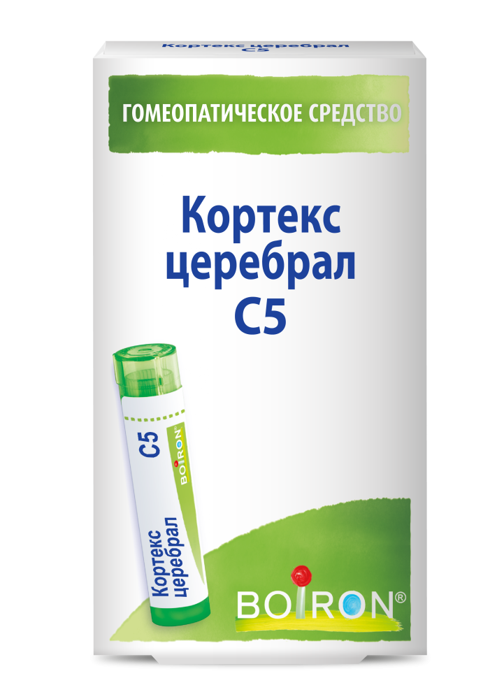 Кортекс церебрал С5
