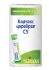 Кортекс церебрал С5