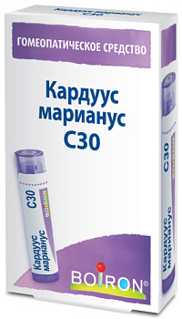 Кардуус марианус С30