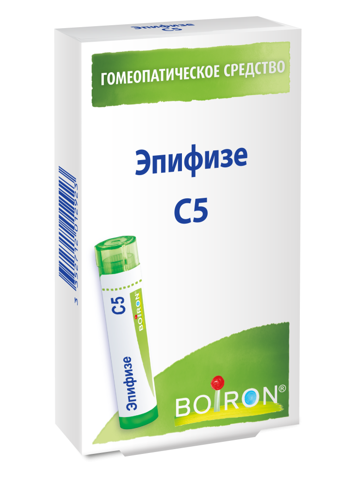 Эпифизе С5