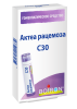 Актеа рацемоза С30