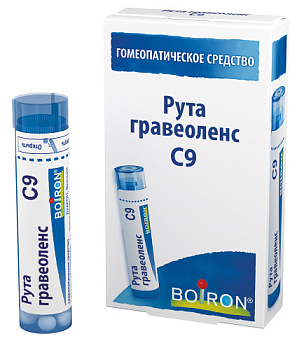 Рута гравеоленс С9