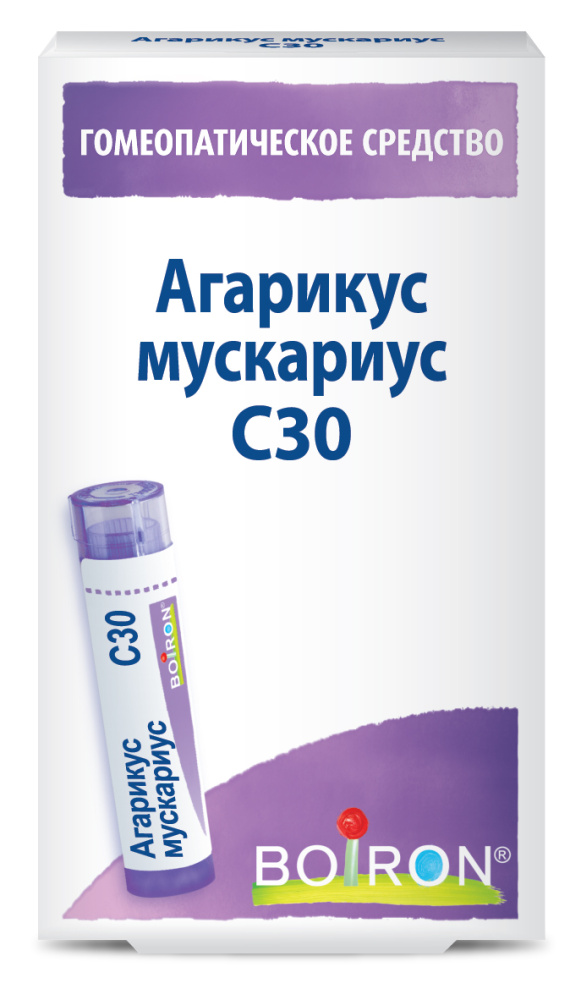 Агарикус мускариус C30