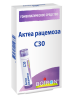 Актеа рацемоза С30