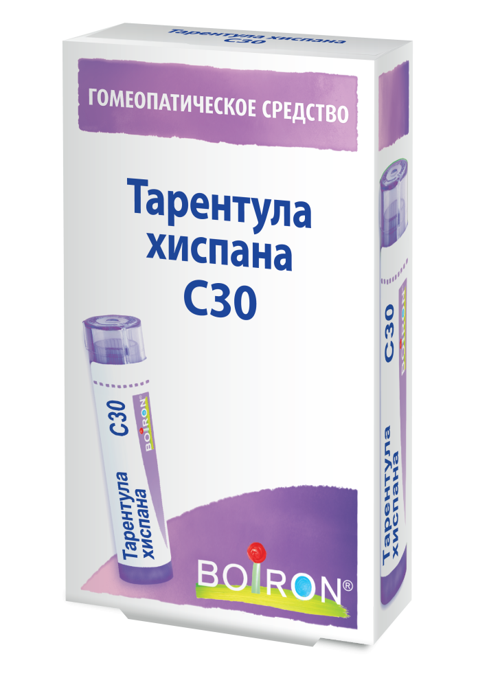 Тарентула хиспана С30