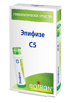 Эпифизе С5