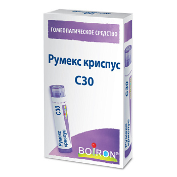 Румекс криспус С30