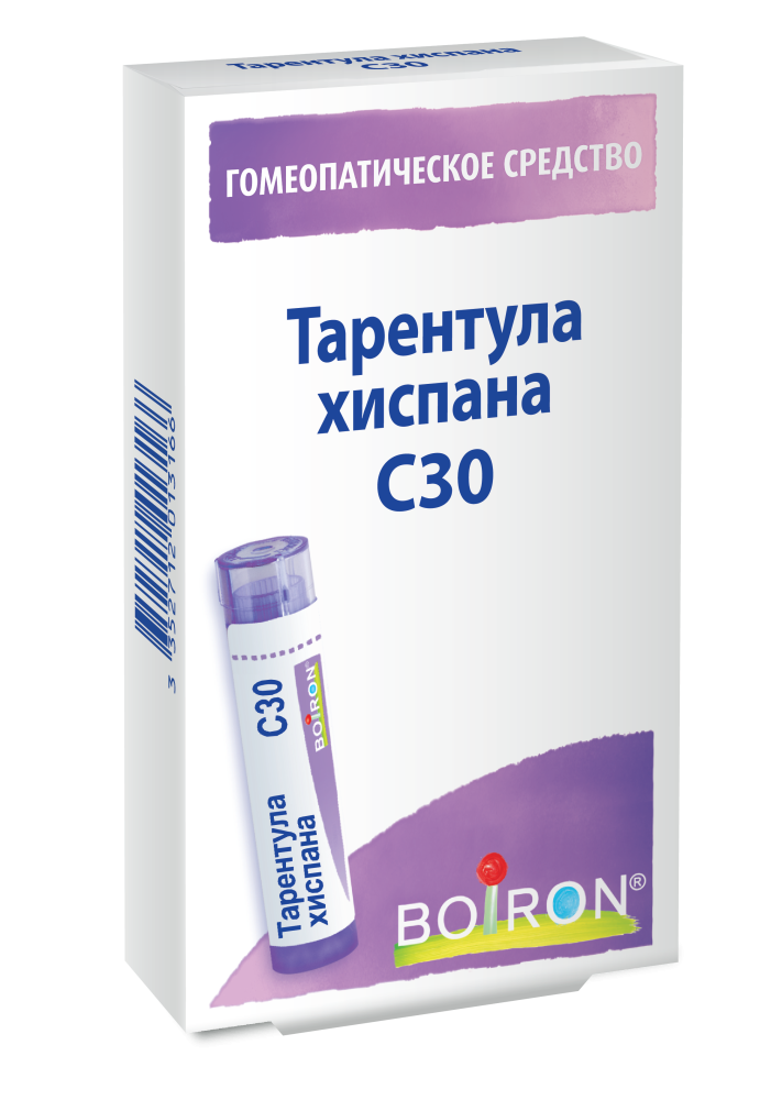 Тарентула хиспана С30