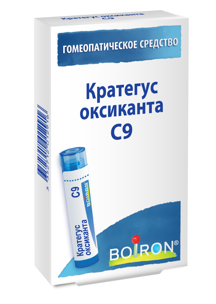 Кратегус оксиканта С9