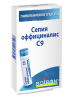 Сепия оффициналис C9