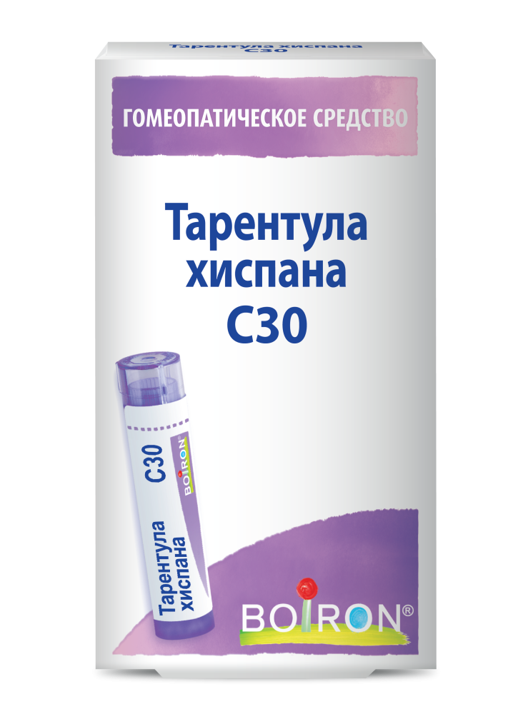 Тарентула хиспана С30
