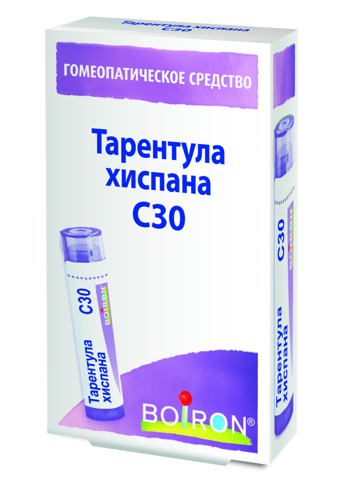 Тарентула хиспана С30