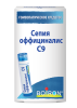 Сепия оффициналис C9
