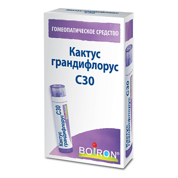 Кактус грандифлорус С30