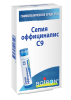 Сепия оффициналис C9
