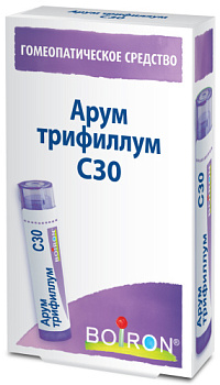 Арум трифиллум С30 