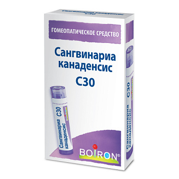 Сангвинариа канаденсис С30