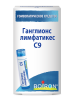 Ганглионс лимфатикес C9