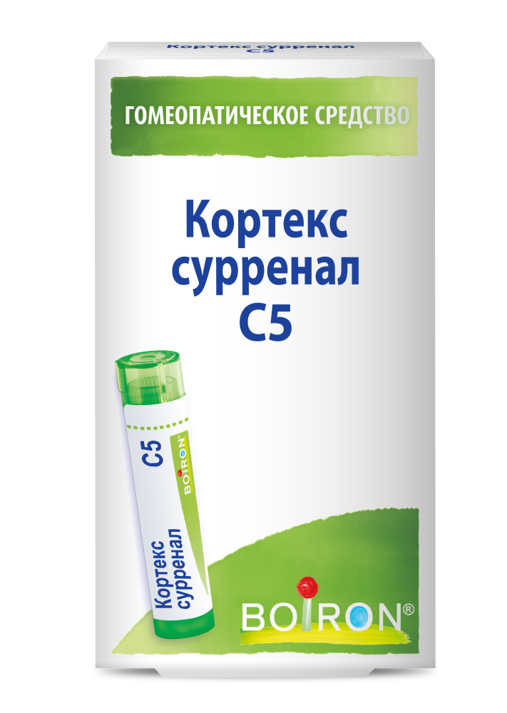 Кортекс сурренал С5