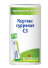 Кортекс сурренал С5