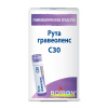 Рута гравеоленс С30