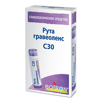 Рута гравеоленс С30