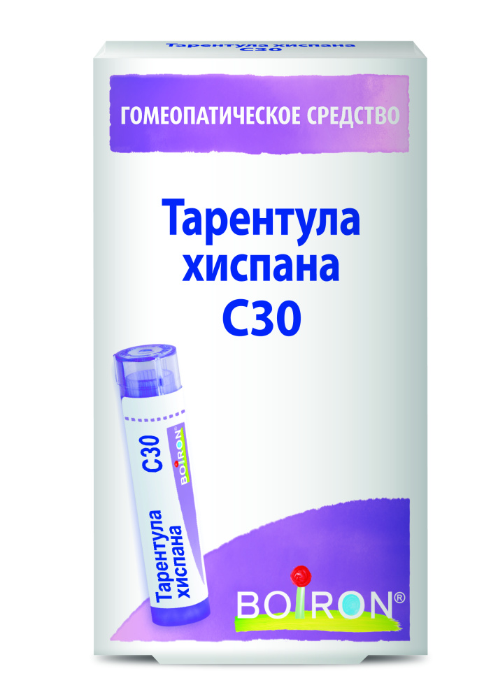 Тарентула хиспана С30